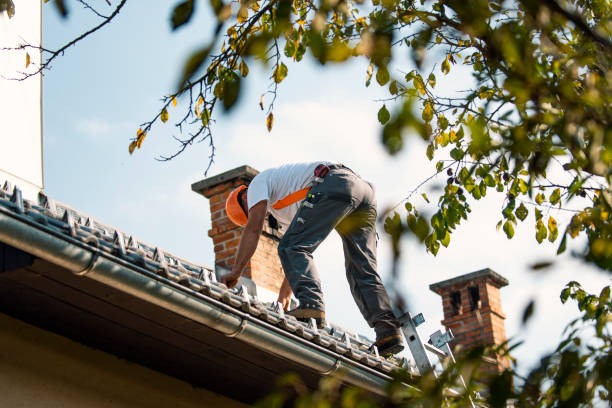 Sealant for Roof in Millwood, WA